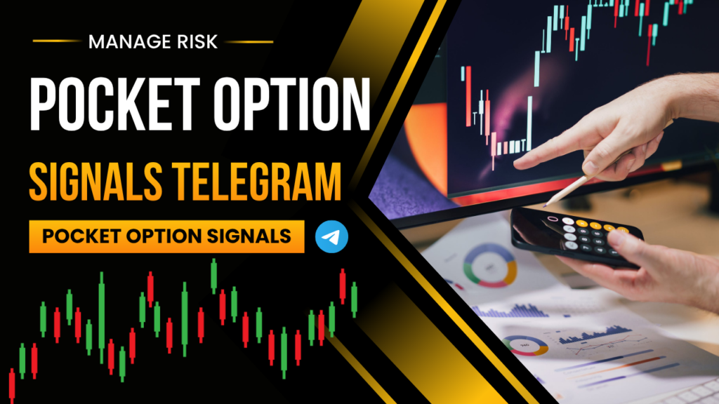 Pocket Option signals Telegram link